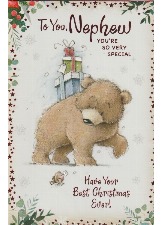 To You, Nephew You're So Very Special